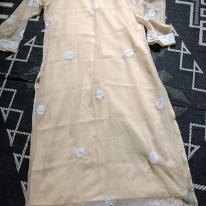 Nude Intricate Work Chikankari Kurta