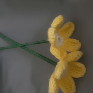 Two Yellow Crochet Flowers