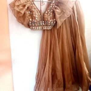 Nude Lehenga Choli