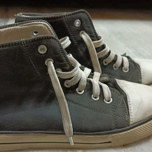 Canvas Shoes