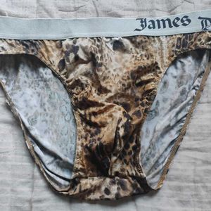 James Dean Brown Silky Briefs