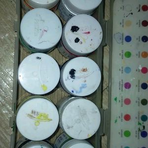 Fevicryl Painting Colours