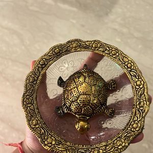 Turtle For Vastu