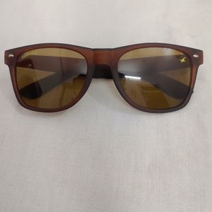 Fastrack Wayfarer Sunglasses ( Original)