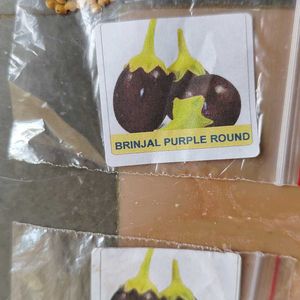 Seeds Combination Of 5 Brinjal Variety