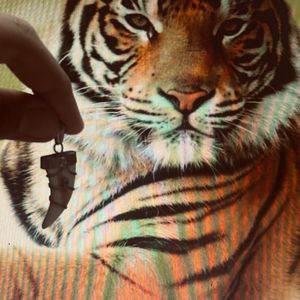 Tiger Nail Pendant