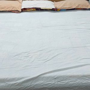 Cotton Double Bedsheet