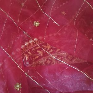 Ghagra Pure Tassur Silk