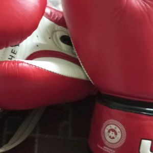 Usi boxing Gloves