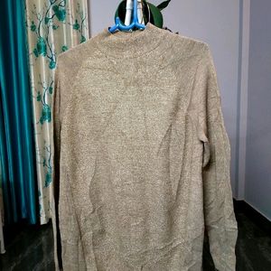 Turtle Neck Shimmery Sweater