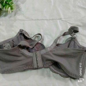 Gray Fancy Net Bra Panty Set