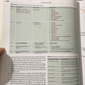 Inderbir Singh’s Embryology