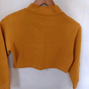 Crop Top With Full Sleeves