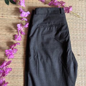 Vanheusen Formal Pants Size 28