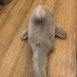 Shark Soft Toy