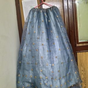 Organza Fancy Full Skirt