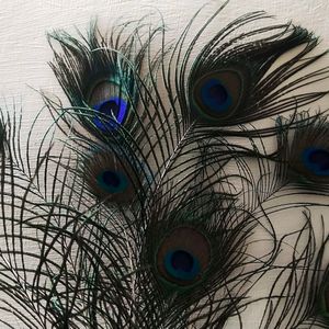 Wall Decorating With Peacock Feather