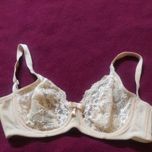 Branded Fancy Bra