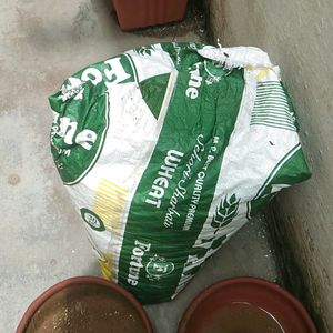 Compost Soil Good For Plants