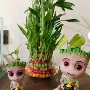 Combo Of 2 Beautiful Groot Faimily Flower Pot