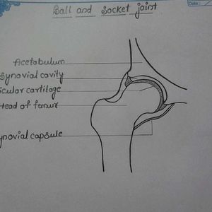 ZOOLOGY Record For Student