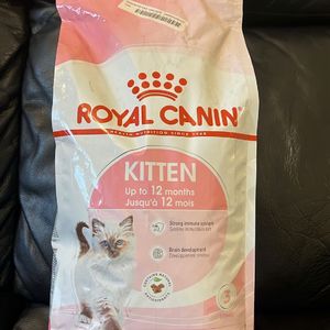 Royal Canin For Kitten