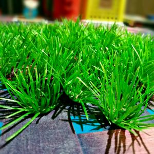 Artificial Grasses