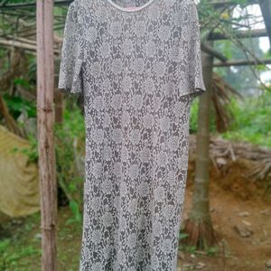 Simple Net Party Wear Dress