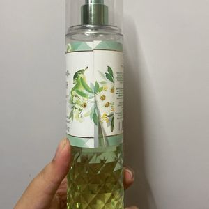 Bath & body works gingham fresh