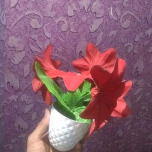 New Rose Red Flower Pot On Cheapest Price ❣️