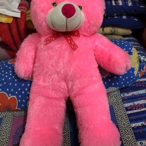 Brand New Teddy Bear