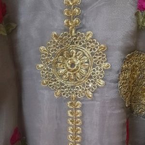 Organza Salwar Suit