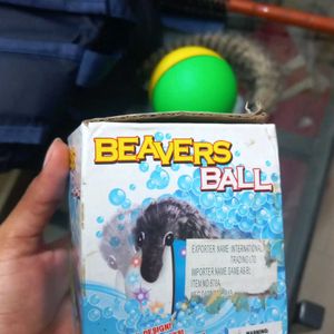 Beavers Ball