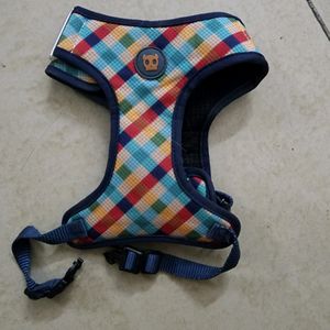 Puppy Harness and Red Collar