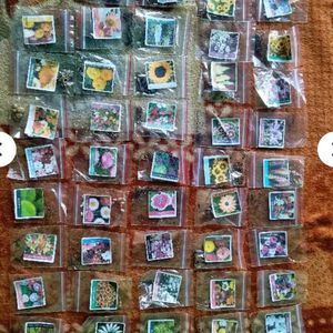 🔥combo Flower seeds of 45 varieties