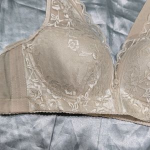 Imported Designer Corset Bra