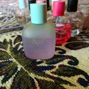 Zara Perfume