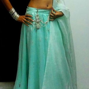 Light Green Lehenga Choli Stitched Set