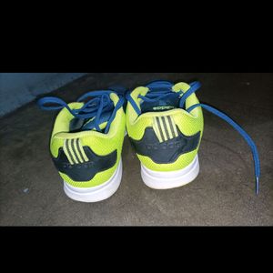 Addidas Original Shoes