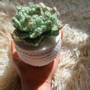 Crochet Succulent Plant