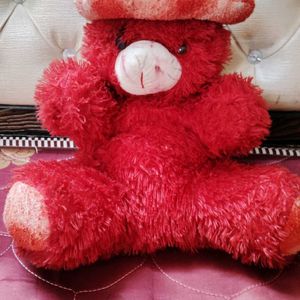 Red Teddy