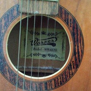 Warner Acoustic Guitar