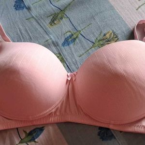 CLOVIA ( 38 C ) Padded Bra