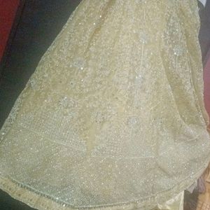 Brand New Full Work Lehnga