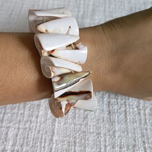 Shell Bracelet From Kanyakumari