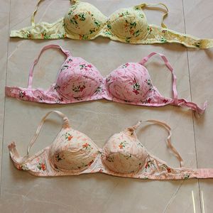 New Pack Of 3 Women Bra