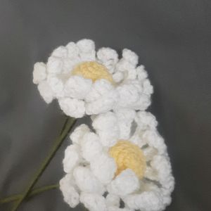 Large Double Layer Crochet Daisy Flowers