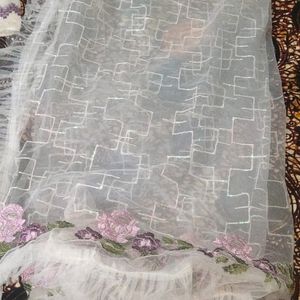 Pakistani Suit With Net Dupatta