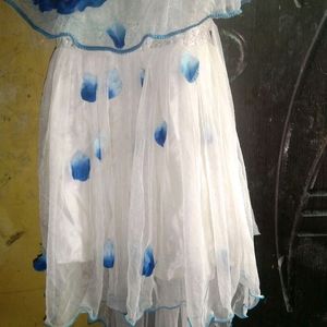 White Blue Frock