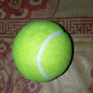 Tenis Ball Pack Of 2